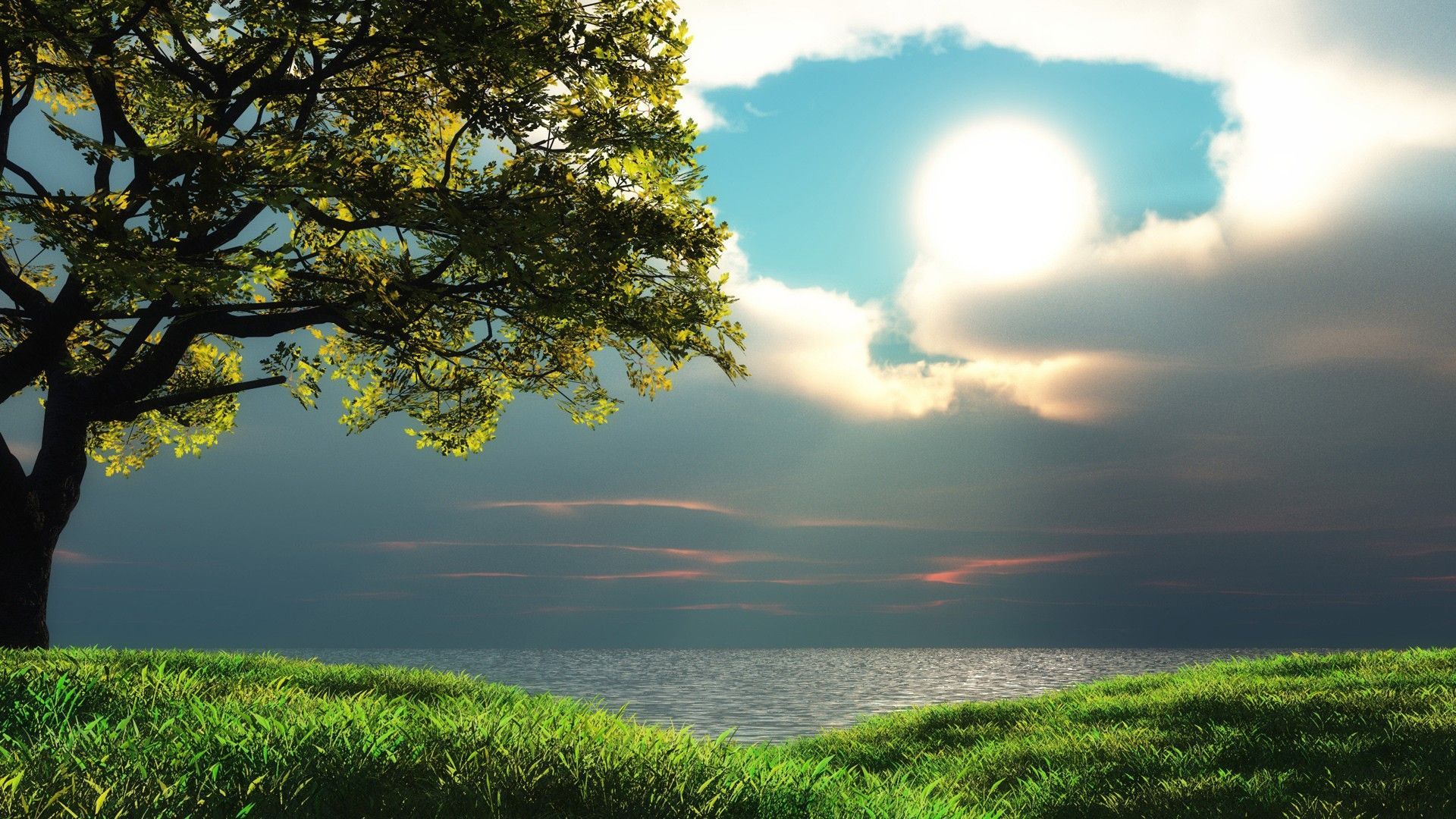 Nature wallpaper